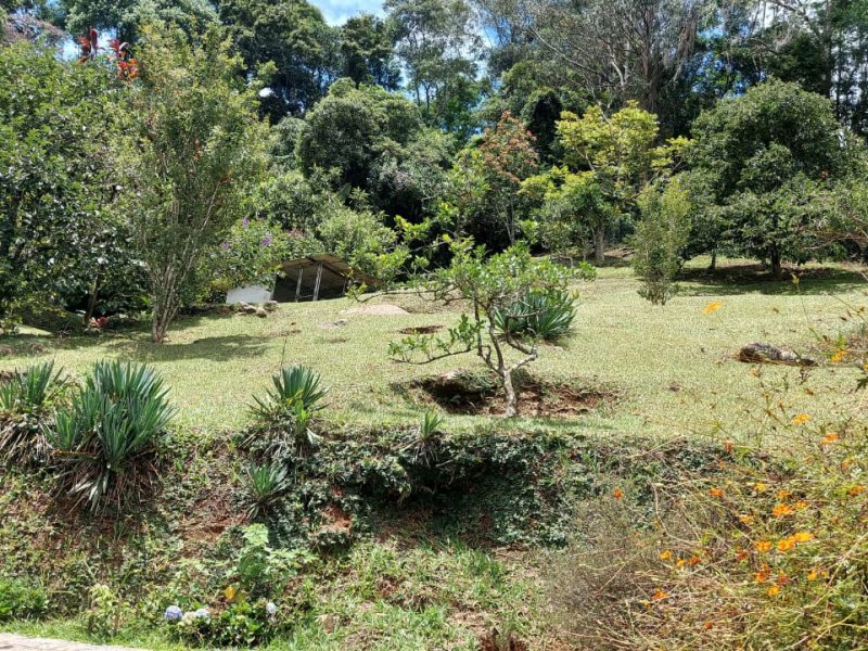 Casa à venda Prata com 175m² e 4 quartos por R$ 485.000 - 1626875634-img-20210220-wa0026.jpg