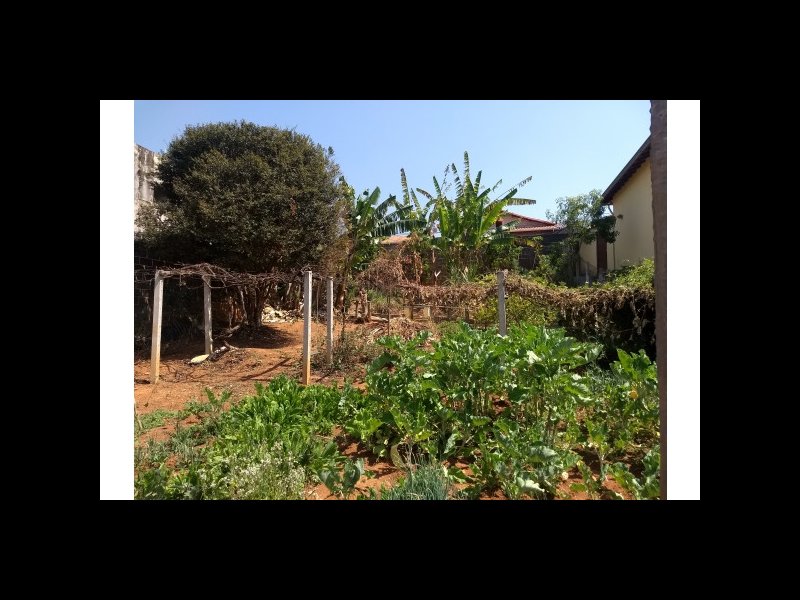 Casa à venda Cidade Jardim com 718m² e 3 quartos por R$ 550.000 - 2022390880-minas-vi.jpg