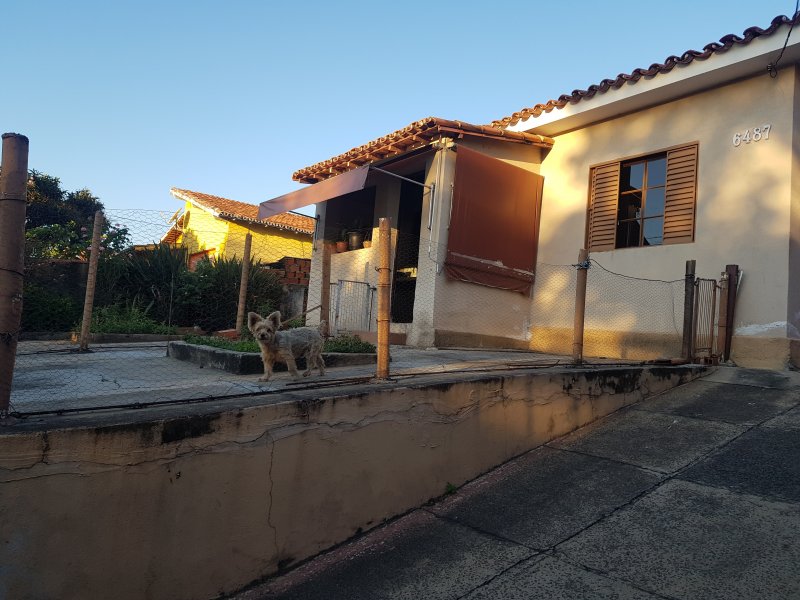 Casa à venda Jd. Campos elísios  com 413m² e 4 quartos por R$ 1.500.000 - 1317639089-20200405-173246.jpg