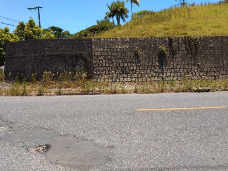 Terreno à venda Floresta com 3100m² e  quartos por R$ 2.500.000 - 489436682-e94446f9-6875-4558-bfee-2a88895fe2f0.jpg