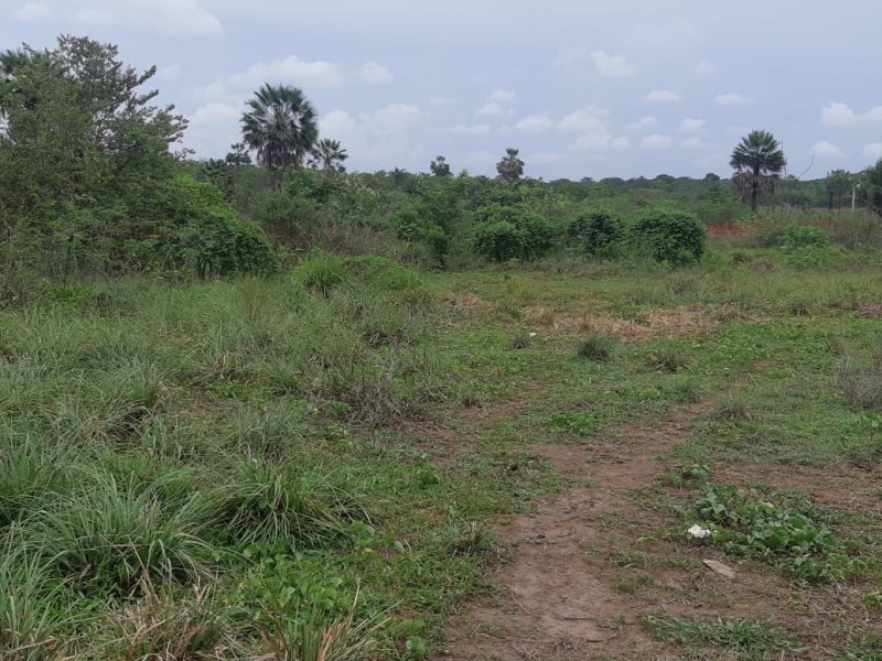 Terreno à venda Maracanaú com 2904m² e  quartos por R$ 200.000 - 2090370317-9aafae46-c268-4900-8501-b8bd52fdbd51.jpg
