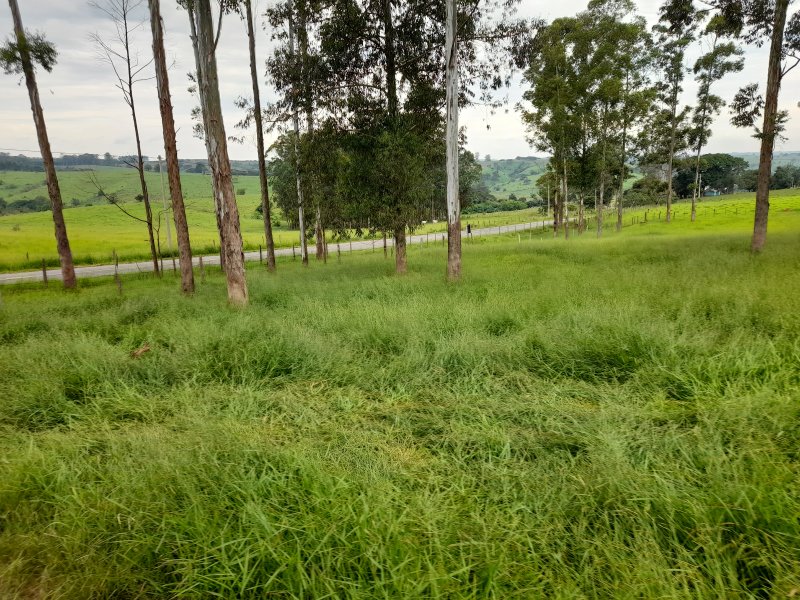 Chácara à venda Sete Fogões  com 2m² e 5 quartos por R$ 250.000 - 194372456-20210124-115644.jpg