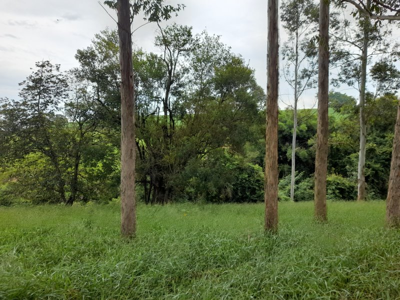 Chácara à venda Sete Fogões  com 2m² e 5 quartos por R$ 250.000 - 1974433115-20210124-115057.jpg