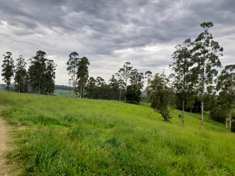 Chácara à venda Sete Fogões  com 2m² e 5 quartos por R$ 250.000 - 777422484-20210124-115505.jpg