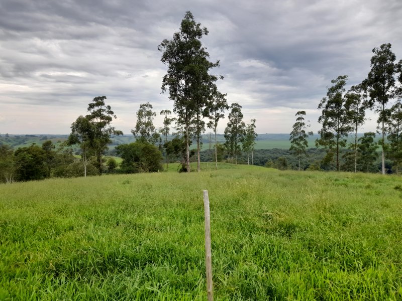 Chácara à venda Sete Fogões  com 2m² e 5 quartos por R$ 250.000 - 924311841-20210124-115401.jpg