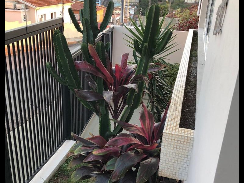 Casa à venda Jardim Dona Nicota de Barros com 211m² e 3 quartos por R$ 490.000 - 377710292-4a0b2f46-c5cf-4d38-9b31-0482ed955acb.jpeg