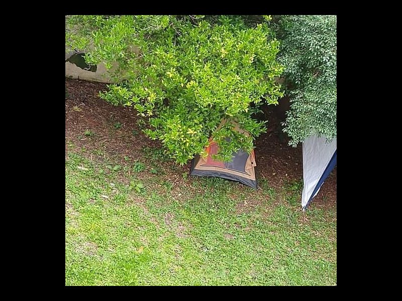 imóvel com 800m² - Jardim Botânico - Curitiba