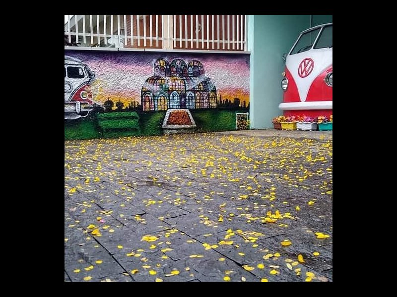 imóvel com 800m² - Jardim Botânico - Curitiba