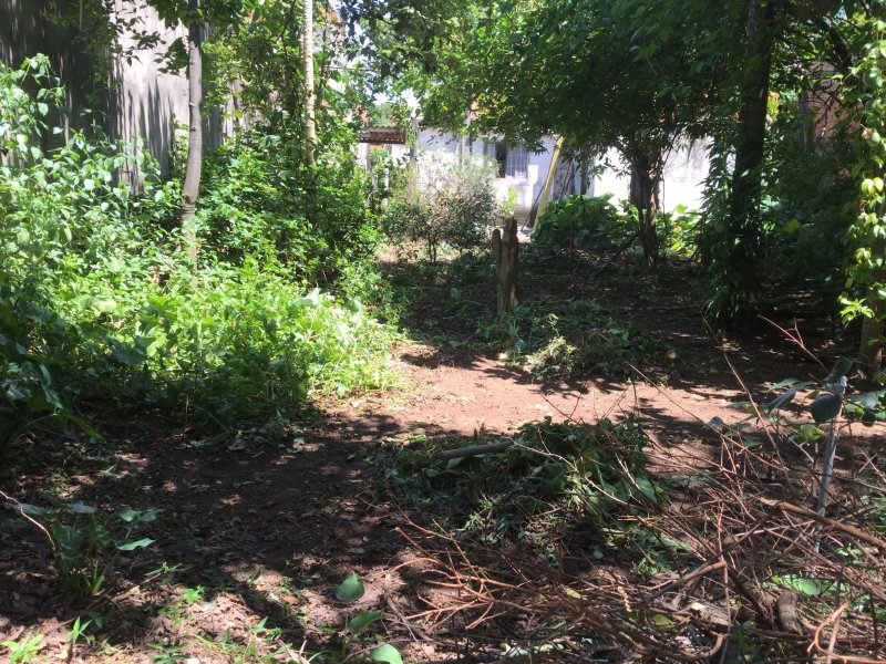 Terreno à venda Vila Rosaria com 500m² e  quartos por R$ 1.200.000 - 1933068580-9c5fe3a4-9711-4ada-a1f8-56857d48c72a.jpeg