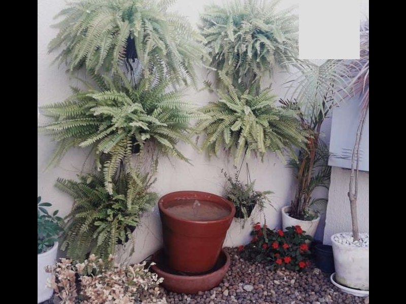 Casa de condomínio à venda Itaquera com 65m² e 2 quartos por R$ 250.000 - 367959538-jardim-2.jpg