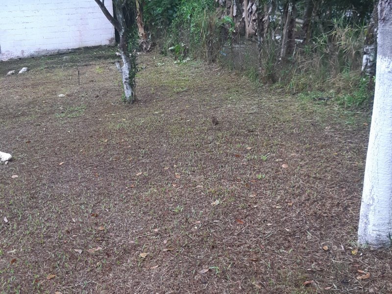 Chácara à venda Vila Batista  com 2m² e 1 quarto por R$ 140.000 - 1408971400-20200523-072103.jpg