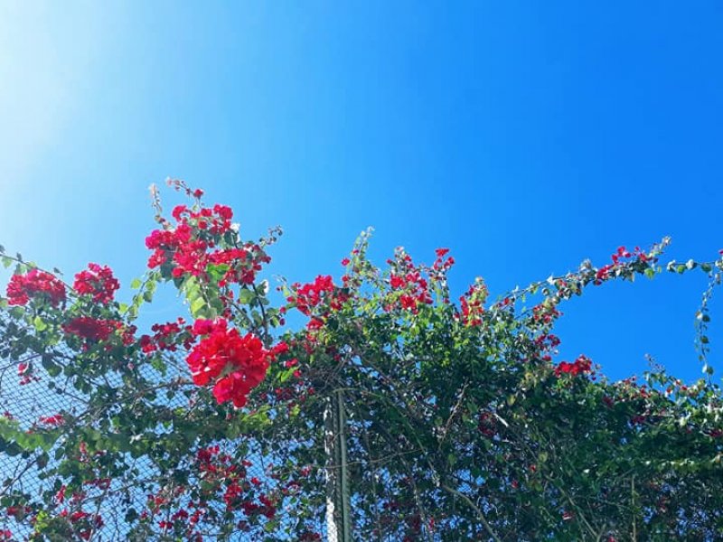 Apartamento à venda Vila Jaraguá com 50m² e 2 quartos por R$ 240.000 - 1579011560-apto-40.jpg