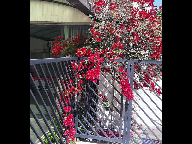 Apartamento à venda Vila Jaraguá com 50m² e 2 quartos por R$ 240.000 - 277079398-apto-39.jpg