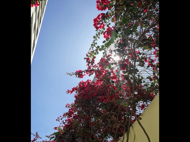 Apartamento à venda Vila Jaraguá com 50m² e 2 quartos por R$ 240.000 - 707129696-apto-38.jpg