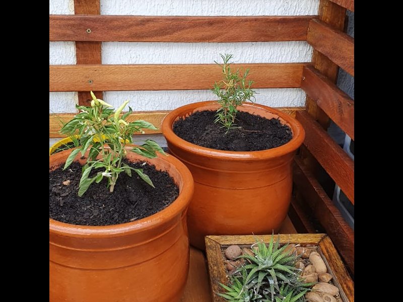 Cobertura à venda Chácara Pavoeiro com 185m² e 3 quartos por R$ 1.220.000 - 1630521487-img-20200503-wa0038.jpg