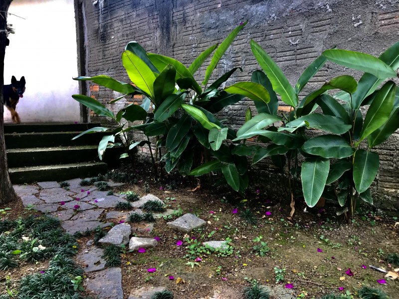 Casa à venda Caviunas  com 380m² e 4 quartos por R$ 1.100.000 - 1727604744-a0e33a65-04c4-4f90-adc9-474d9f28e1fc.jpeg