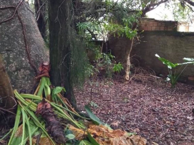 Casa à venda Cecília com 212m² e 3 quartos por R$ 298.000 - 2080472024-hsrhxbq3p0yw.jpg