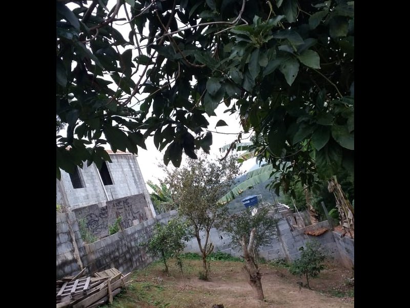 Casa à venda Panorama com 367m² e 2 quartos por R$ 200.000 - 492369465-whatsapp-image-2021-02-17-at-13.jpeg
