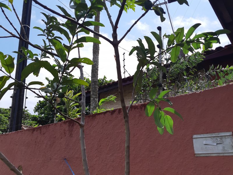 Casa à venda Jardim Regina com 70m² e 2 quartos por R$ 210.000 - 1421368593-20210227-134109.jpg