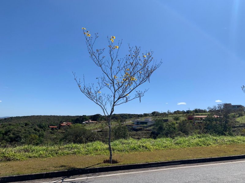 Terreno à venda Gran Royalle com 1000m² e  quartos por R$ 165.000 - 1831136867-9b78bc8b-9ba6-4522-8652-80452f67e06a.jpeg