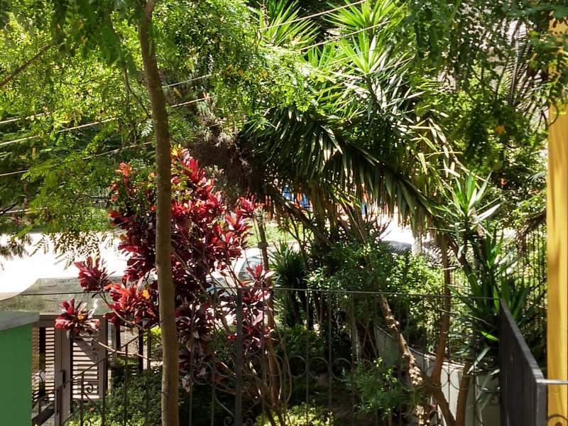 Apartamento à venda Vila Ipojuca com 65m² e 2 quartos por R$ 500.000 - 1436918980-g-img-20210207-113737687-hdr.jpg