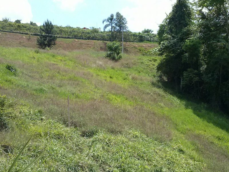 Terreno à venda Lajeado com 617m² e 1 quarto por R$ 230.000 - 363940036-cam00306.jpg