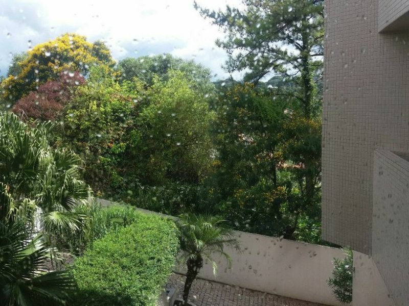 Apartamento à venda Campina do Siqueira com 315m² e 4 quartos por R$ 1.500.000 - 914769357-ac024384-323b-4b20-89b5-d3638bac4061.jpg