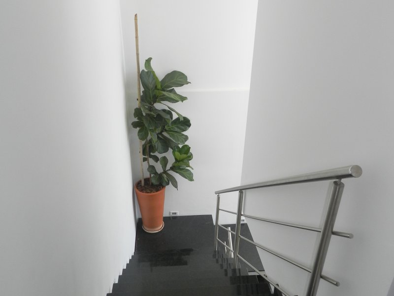 Casa de condomínio à venda Jardim America com 212m² e 3 quartos por R$ 1.400.000 - 132578426-dscn7486.JPG