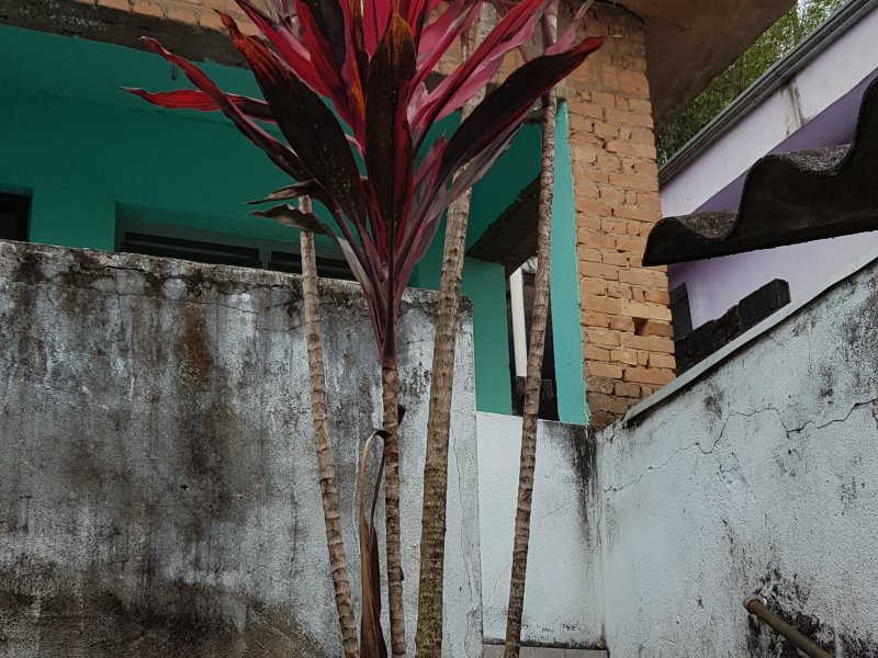 Casa à venda Vila São Judas Tadeu com 300m² e 3 quartos por R$ 150.000 - 236858659-2-entrada.jpg