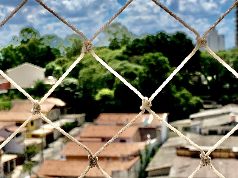 Apartamento à venda Baeta Neves com 52m² e 2 quartos por R$ 369.500 - 173766937-232718d5-6d5a-41b9-a7f4-96d694a1421e.jpeg