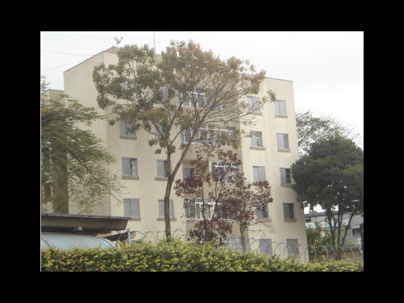 Apartamento à venda Jardim São Luís com 53m² e 2 quartos por R$ 205.000 - 374979576-edificio-sao-luiz-2.PNG