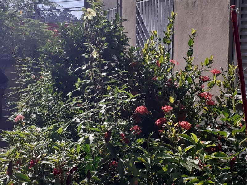 Apartamento à venda Pimentas com 70m² e 2 quartos por R$ 100.000 - 1041916489-20210222-083316.jpg