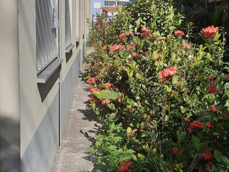 Apartamento à venda Pimentas com 70m² e 2 quartos por R$ 100.000 - 144448733-20210222-083105.jpg