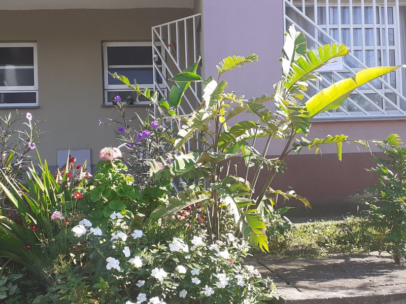 Apartamento à venda Pimentas com 70m² e 2 quartos por R$ 100.000 - 514322210-20210222-082901.jpg