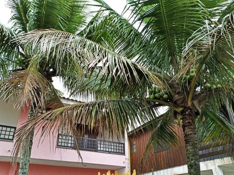 imóvel com 240m² - Estância Bal Maria H Novaes - Peruíbe