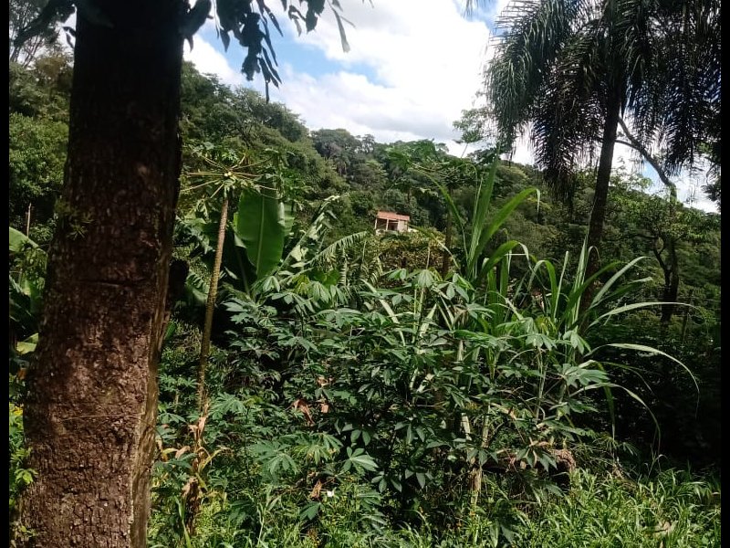 Chácara à venda Estância São Francisco com 1200m² e 1 quarto por R$ 80.000 - 1459856794-whatsapp-image-2021-02-28-at-17.jpeg