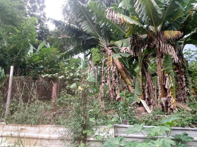 Chácara à venda Estância São Francisco com 1200m² e 1 quarto por R$ 80.000 - 260084451-whatsapp-image-2021-02-28-at-17.jpeg