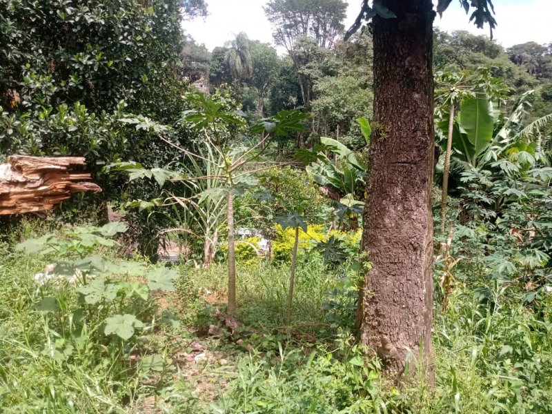 Chácara à venda Estância São Francisco com 1200m² e 1 quarto por R$ 80.000 - 320318896-whatsapp-image-2021-02-28-at-17.jpeg