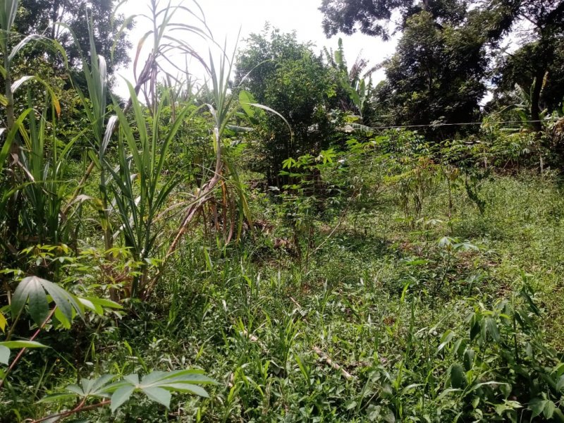 Chácara à venda Estância São Francisco com 1200m² e 1 quarto por R$ 80.000 - 468231828-whatsapp-image-2021-02-28-at-17.jpeg