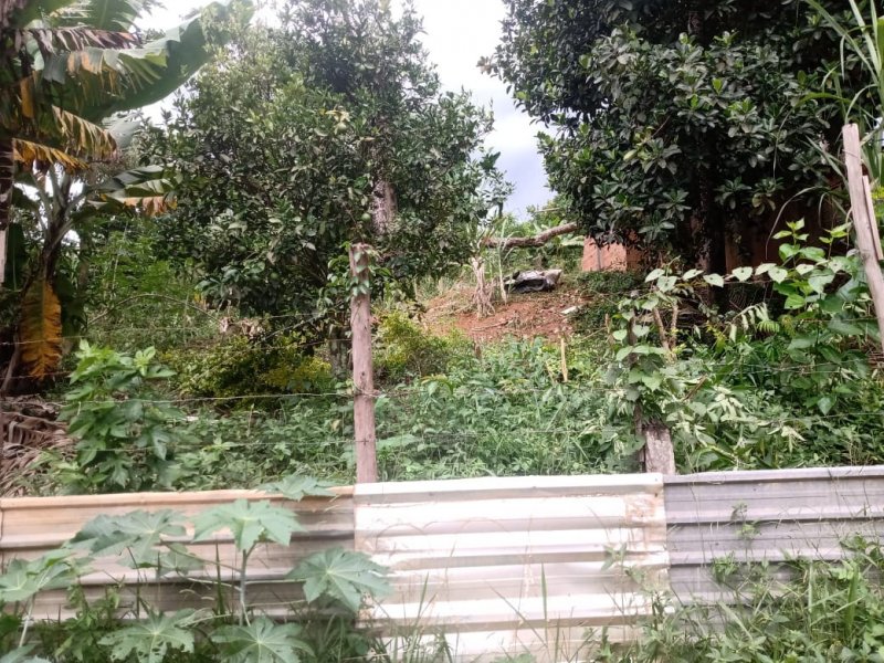 Chácara à venda Estância São Francisco com 1200m² e 1 quarto por R$ 80.000 - 523485328-whatsapp-image-2021-02-28-at-17.jpeg