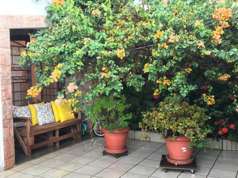 Casa à venda Jardim Eulina com 153m² e 3 quartos por R$ 500.000 - 468999003-whatsapp-image-2021-03-04-at-08.jpeg