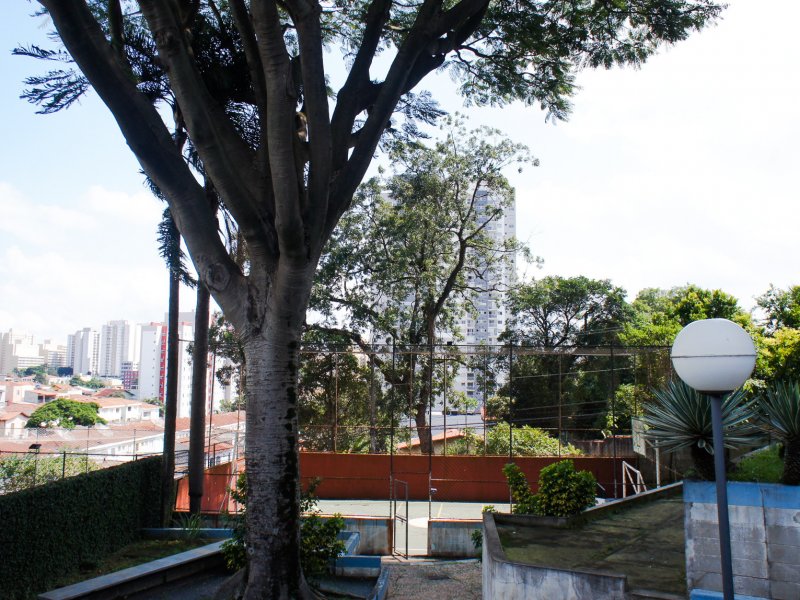 Apartamento à venda Vila Santa Catarina com 65m² e 2 quartos por R$ 400 - 1227662483-externo-0053.jpeg