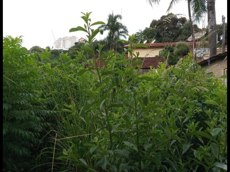 Casa para alugar Parque das Fontes com 467m² e 3 quartos por R$ 850.000 - 1283745668-img-20210212-wa0123.jpg