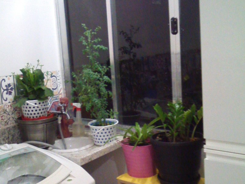 Studio à venda Pinheiros com 33m² e 1 quarto por R$ 320.000 - 1963796245-20151117-230711.jpg