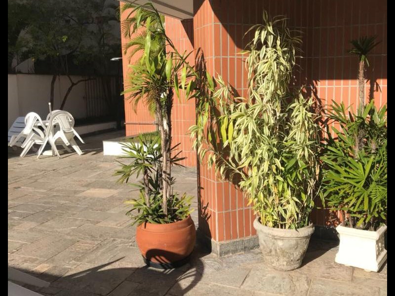Apartamento para alugar Santa Cecília com 103m² e 2 quartos por R$ 3.900 - 1069623766-whatsapp-image-2021-02-11-at-14.jpeg