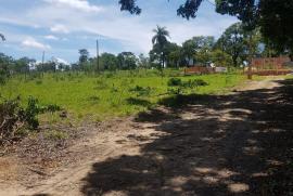 Terreno à venda Centro com 800m² -  dormitórios -  vagas - R$ 135.000 - 612524783-whatsapp-image-2021-03-02-at-16.jpeg