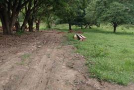 Terreno à venda Centro com 800m² -  dormitórios -  vagas - R$ 135.000 - 656875620-whatsapp-image-2021-03-02-at-16.jpeg