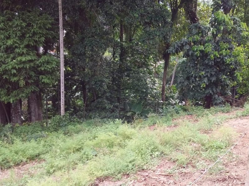 Terreno à venda Itoupavazinha com 4400m² e  quartos por R$ 700.000 - 143300467-04-casa-mae.jpeg