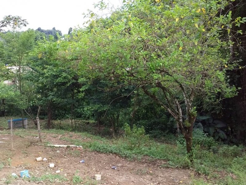 Terreno à venda Itoupavazinha com 4400m² e  quartos por R$ 700.000 - 384946555-03-casa-mae.jpeg