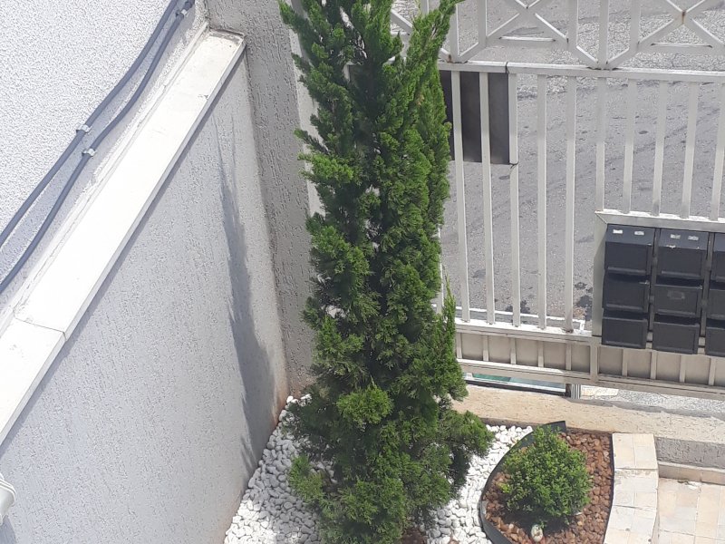 imóvel com 33m² - Penha de França - São Paulo